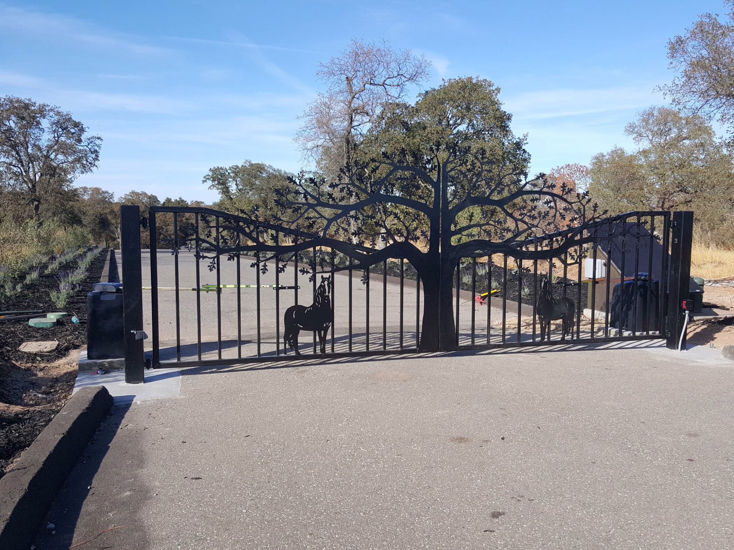 What to Expect From Long-Term Gate Ownership in Sacramento